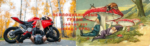 молекула духа Алексин