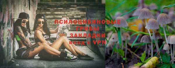 молекула духа Алексин
