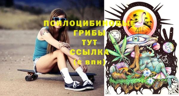 метамфетамин Алексеевка