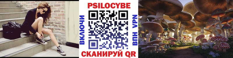Купить где Елизаветинская Псилоцибиновые грибы прущие грибы
